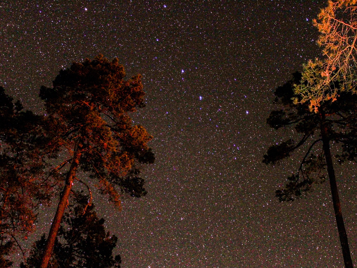 Noche estrellada Mexiquillo, Durango