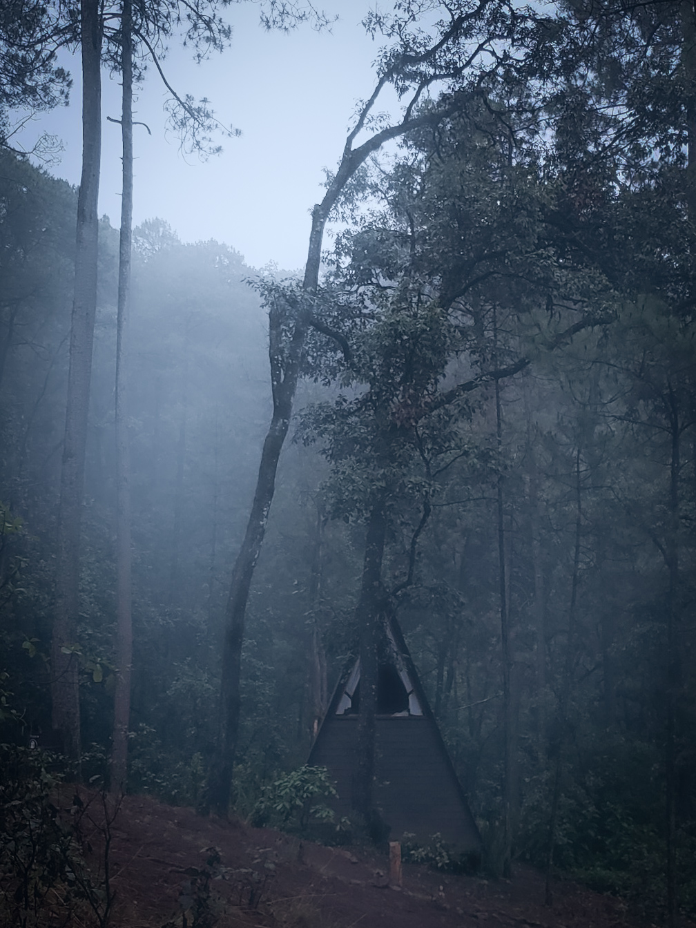 Bosques de México
